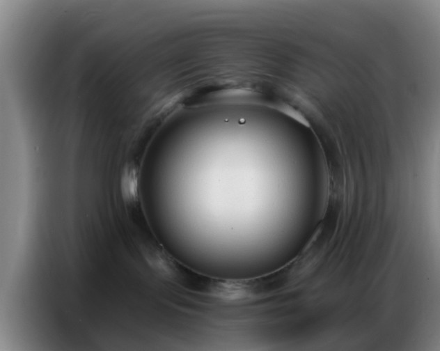 X0000086800095200704201912