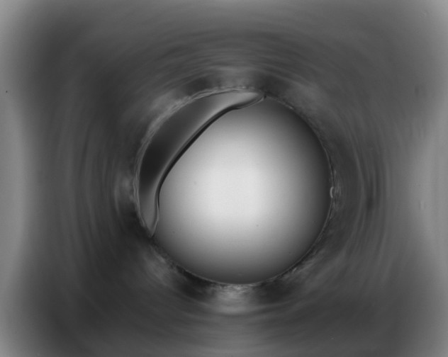 X0000086800096200704201912