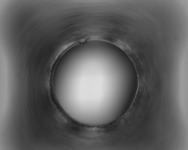 X0000086800098200704201911