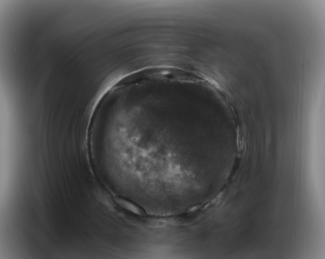X0000086800099200704201911