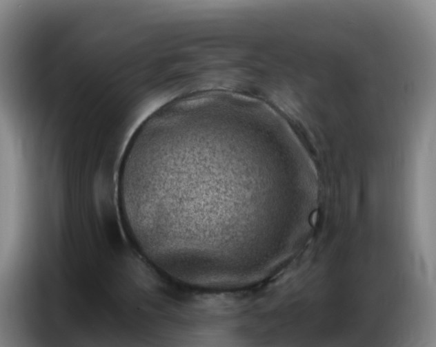 X0000086800100200704201911