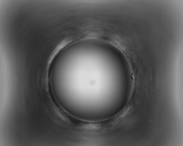 X0000086800102200704201911