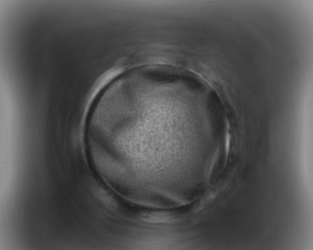 X0000086800104200704201911