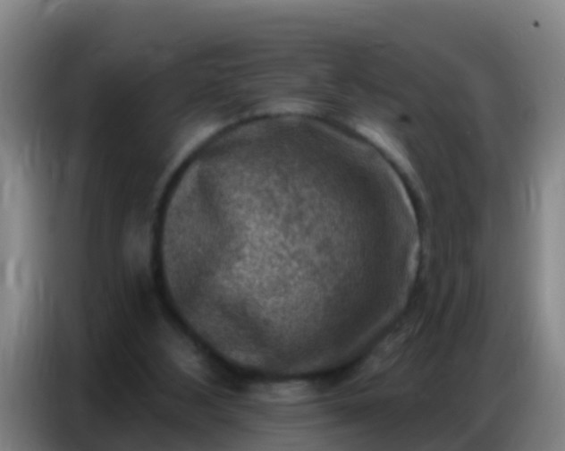 X0000086800108200704201911