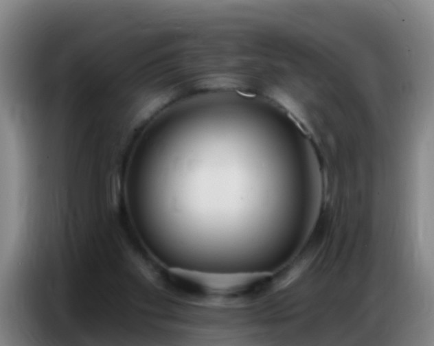 X0000086800109200704201911