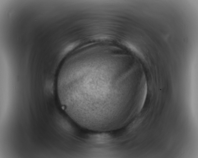 X0000086800112200704201911