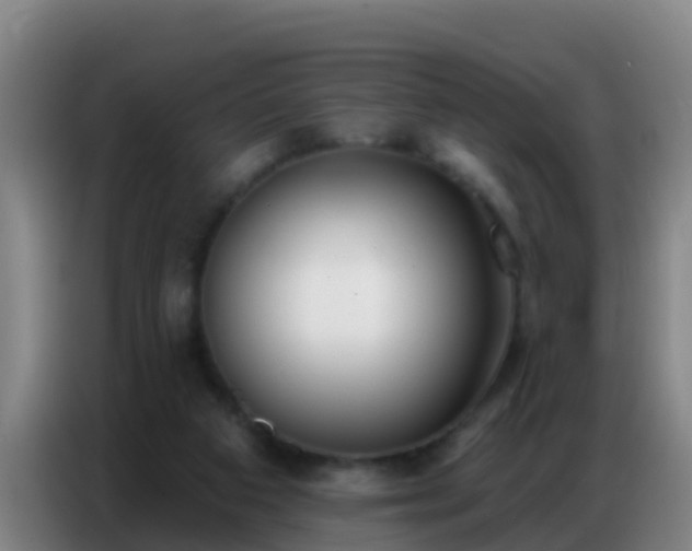 X0000086800113200704201911