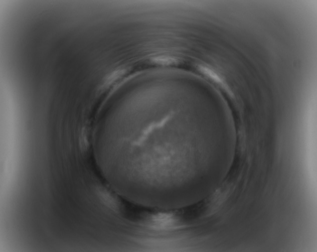 X0000086800114200704201911
