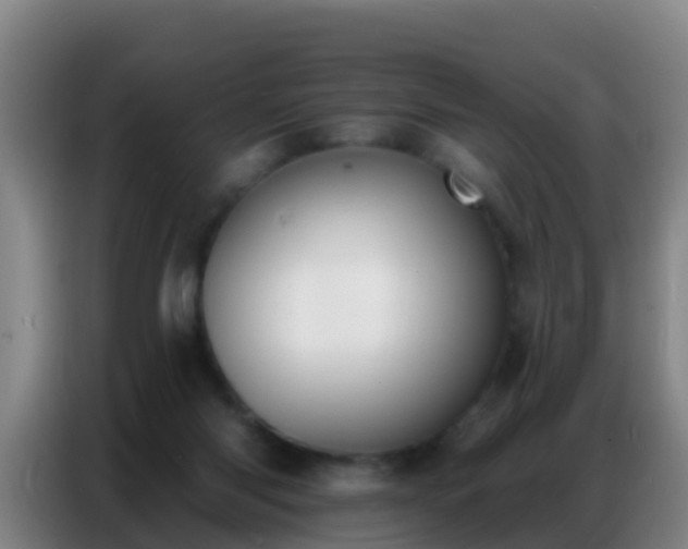 X0000086800118200704201911