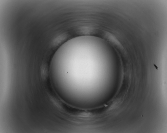 X0000086800119200704201911