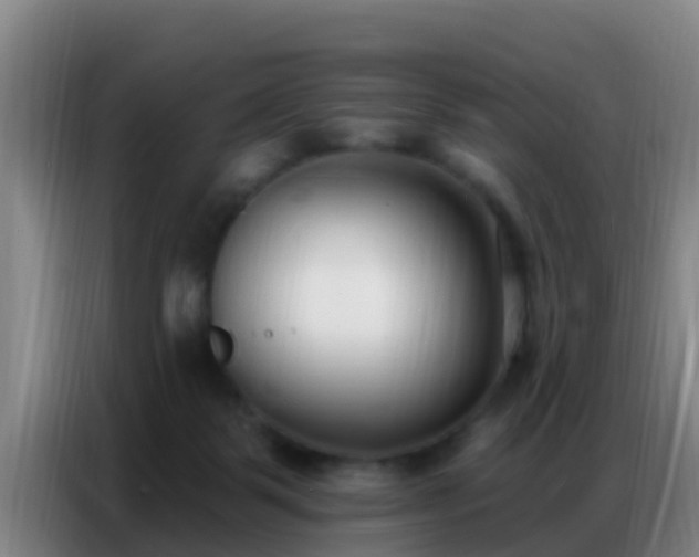 X0000086800123200704201911