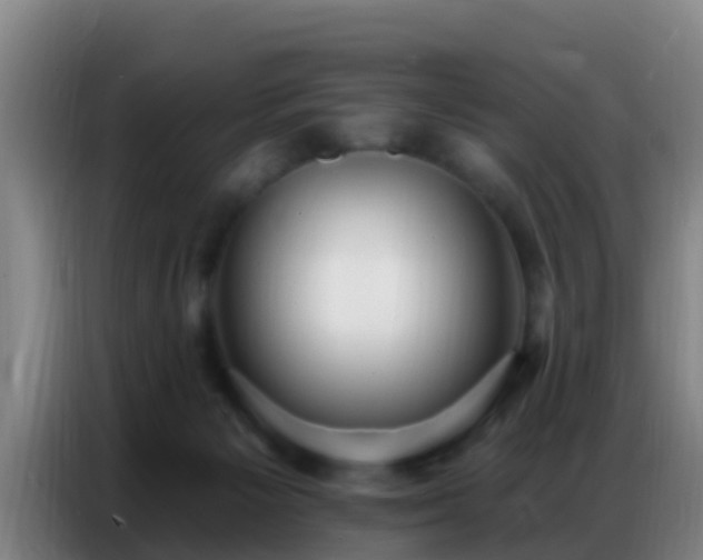 X0000086800125200704201911
