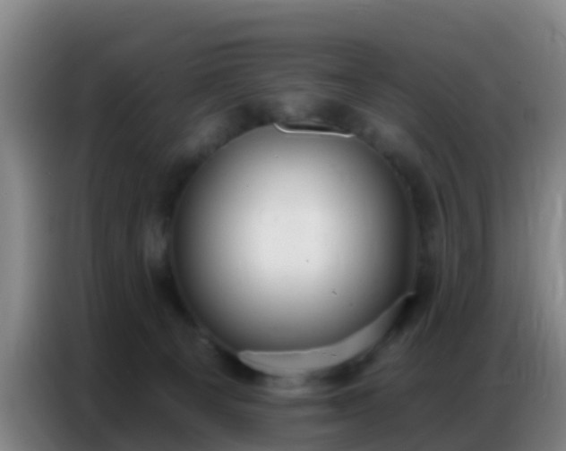 X0000086800129200704201911