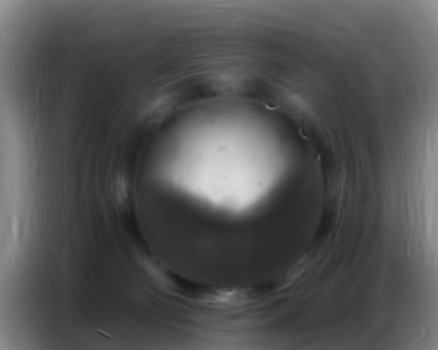 X0000086800130200704201911