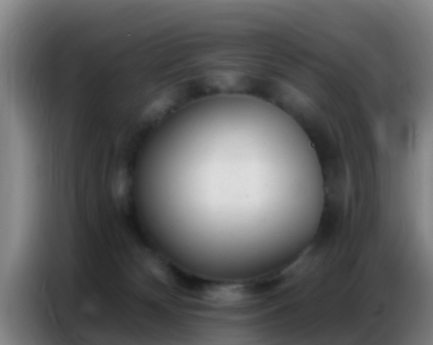 X0000086800132200704201911