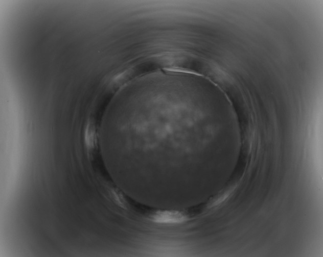 X0000086800137200704201911