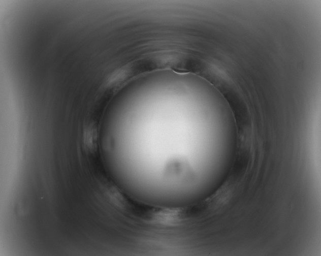 X0000086800138200704201911
