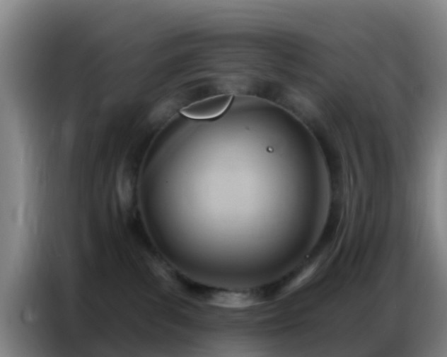 X0000086800139200704201911