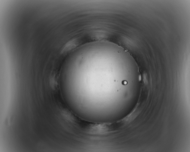 X0000086800140200704201911