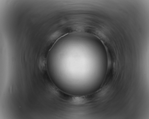 X0000086800141200704201911