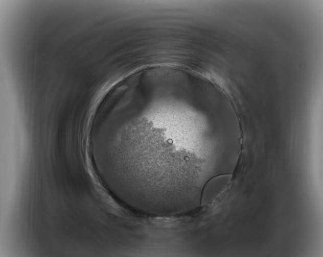 X0000086800145200704201910