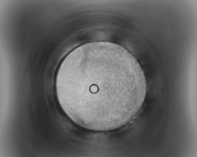 X0000086800146200704201910