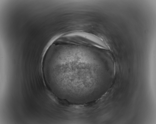 X0000086800147200704201910