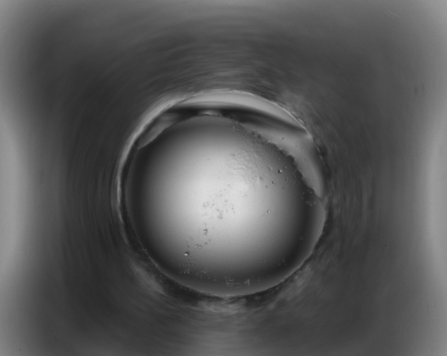 X0000086800148200704201910