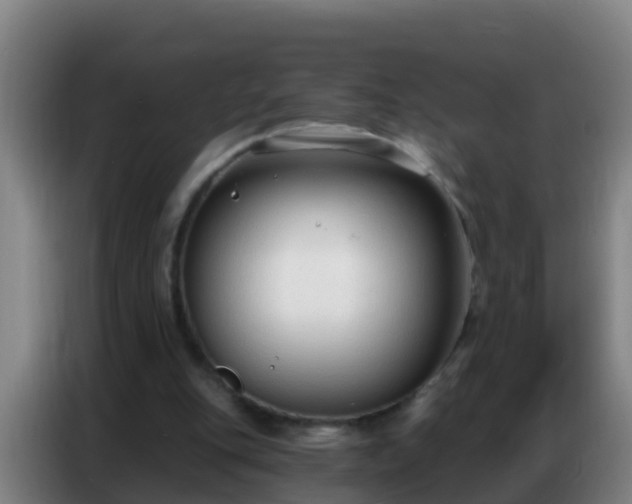 X0000086800151200704201910