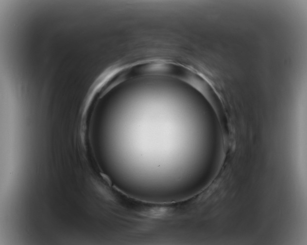 X0000086800152200704201910