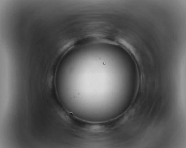 X0000086800153200704201910