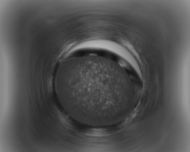 X0000086800154200704201910