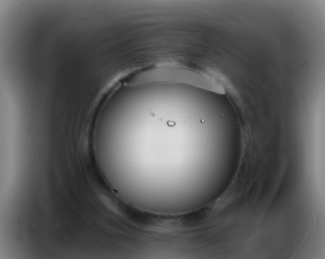 X0000086800155200704201910