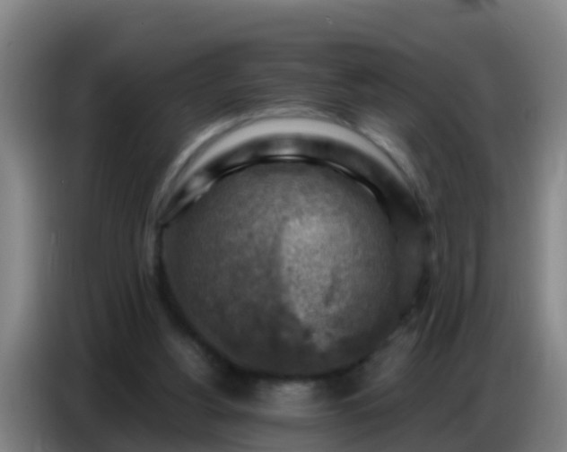 X0000086800156200704201910