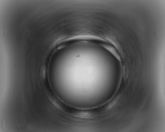 X0000086800157200704201910