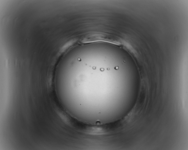 X0000086800159200704201910