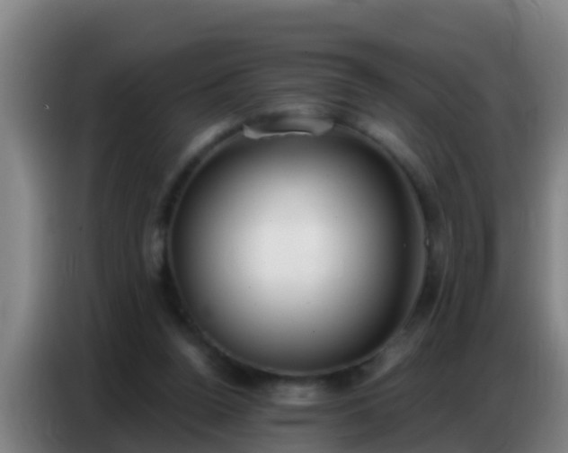 X0000086800160200704201910