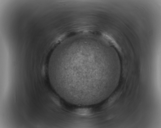 X0000086800161200704201910
