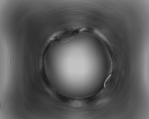 X0000086800163200704201910