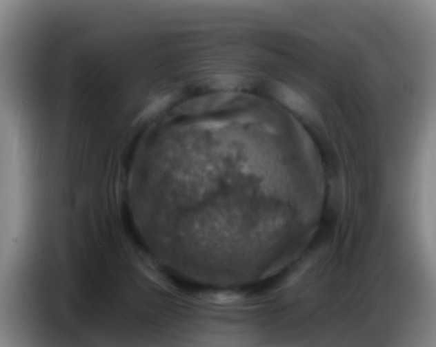 X0000086800165200704201910