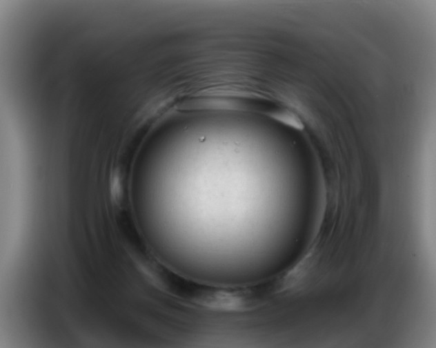 X0000086800166200704201910