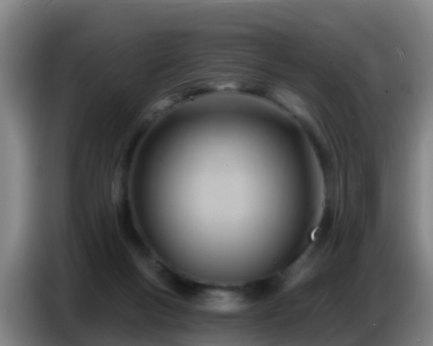 X0000086800167200704201910