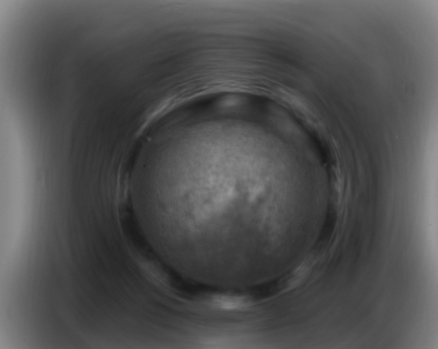 X0000086800168200704201910