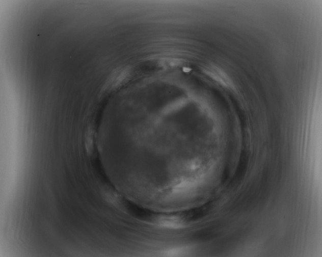 X0000086800169200704201910