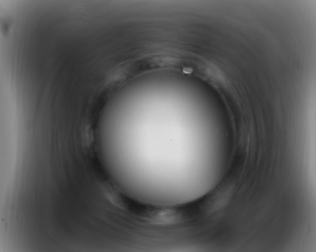 X0000086800173200704201910