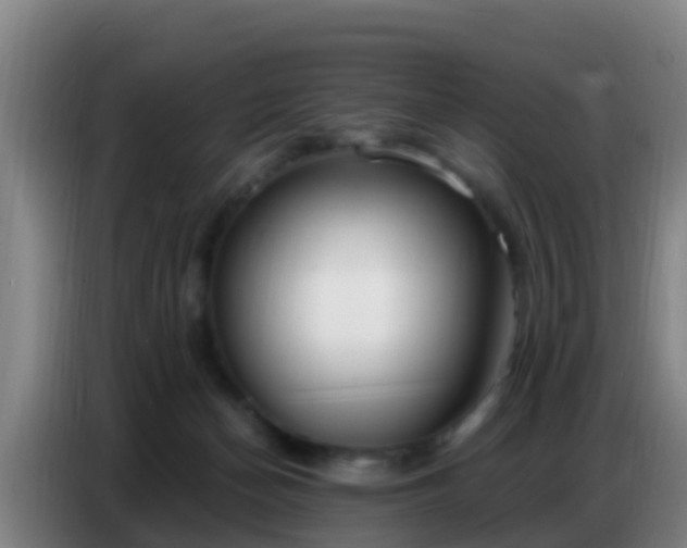 X0000086800174200704201910