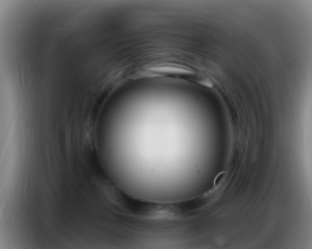 X0000086800175200704201910