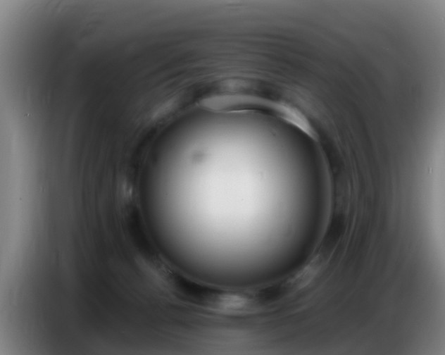X0000086800176200704201910