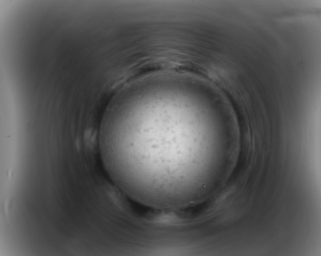 X0000086800177200704201910