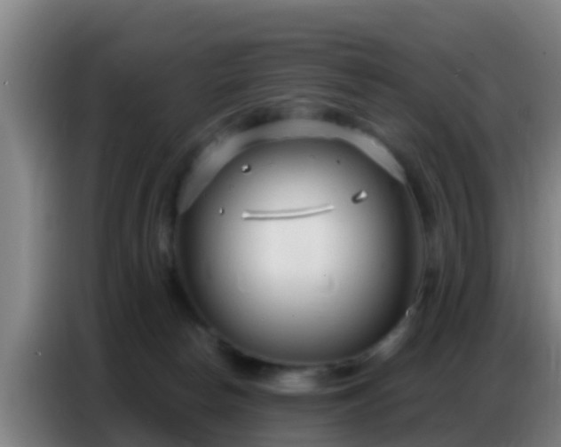 X0000086800178200704201910